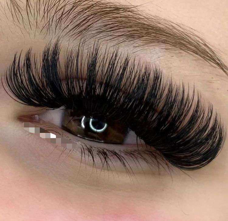 Eyelash Image 7